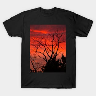 Sunset T-Shirt